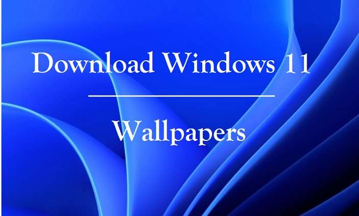 Download Windows 11 Wallpapers For Free - Tech Carving