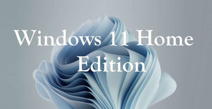 windows 11 home and pro
